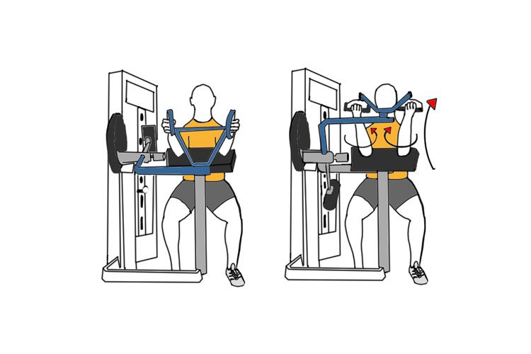 Máquina de curl predicador