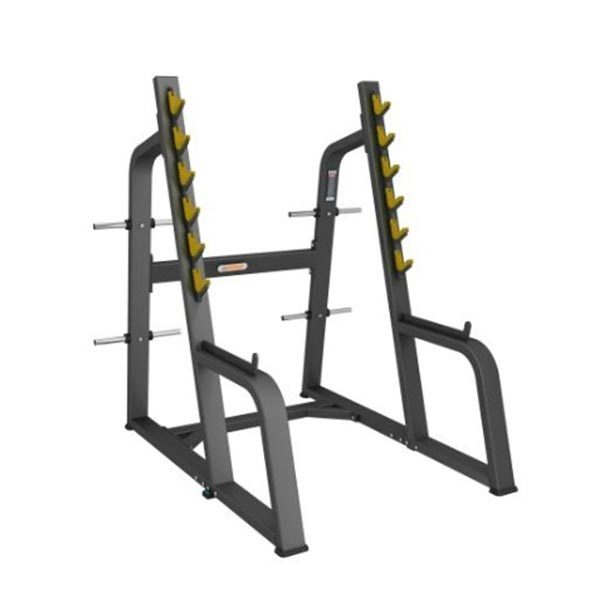 T50 Squat Rack Triton